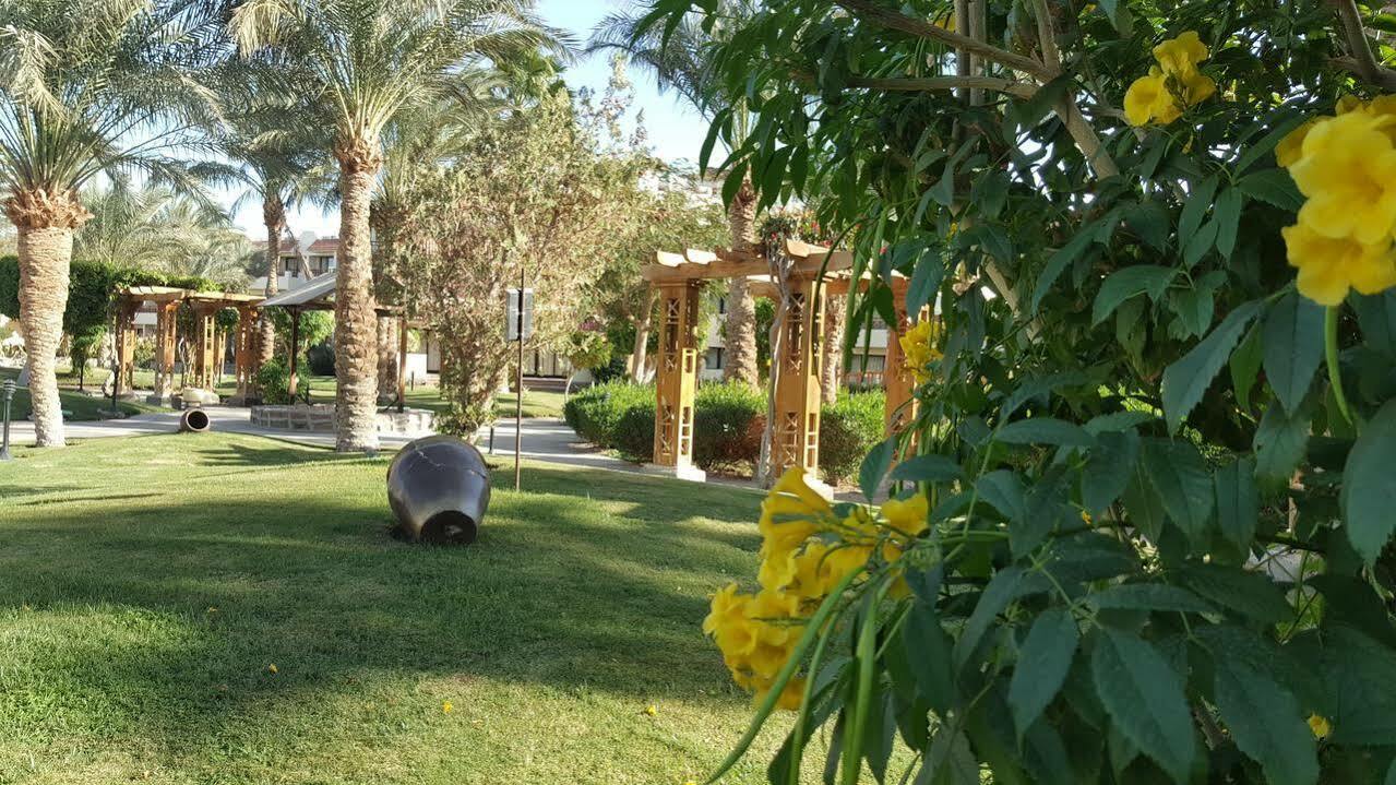 Ośrodek wypoczynkowy Iberotel Casa Del Mar Hurghada